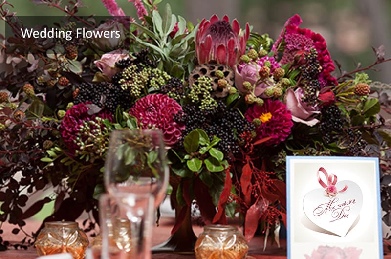 Flower Delivery to Holland by Huisman Flowers